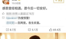 小說娛樂圈吃瓜影帝,幕后風云，星光璀璨