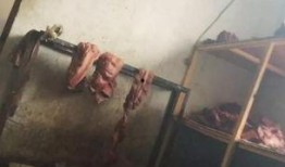 驢肉造假爆料視頻,視頻曝光驚人內(nèi)幕
